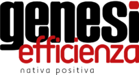 Logo Genesi Efficienza VIDEO